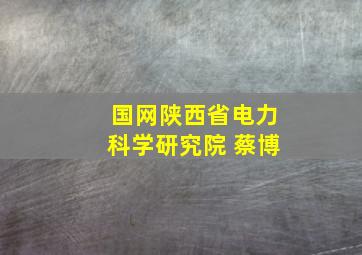 国网陕西省电力科学研究院 蔡博